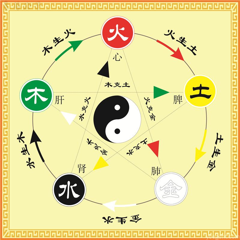 八字阴阳五行与天干地支关系图解:五行木火土金水对应心肝脾肺肾,阴阳太极与五行相生相克配合天干地支形成完整命理体系