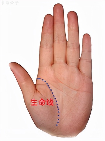 手掌生命线的深度与清晰度对比,解析不同特征含义