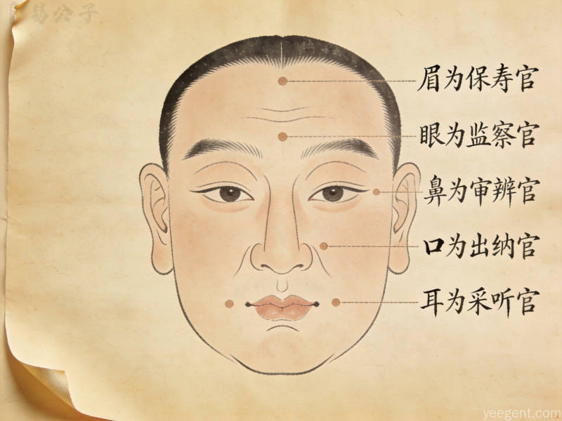 传统面相学中的五官解读：从形态到气色的观察体系