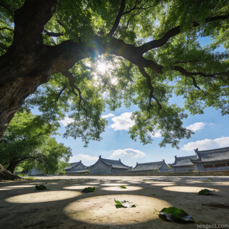 夏日大树下阳光透过浓密树叶洒下斑驳光影,远处可见传统建筑飞檐宁静悠然