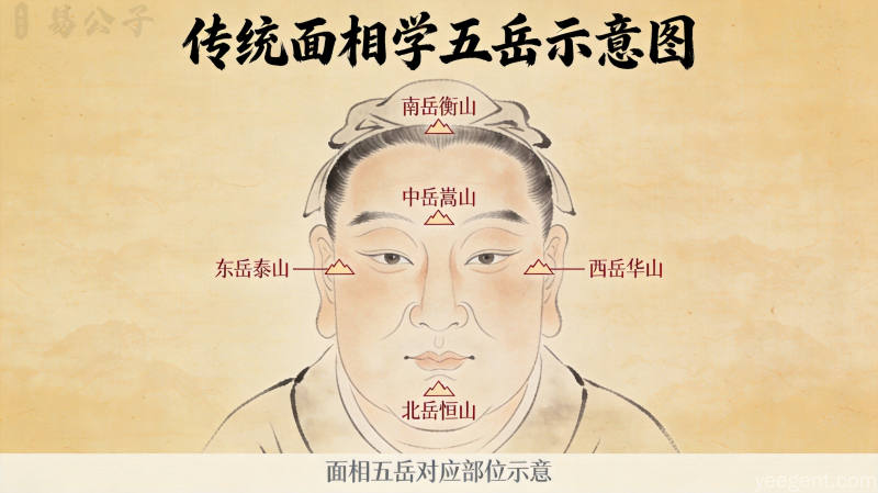 传统相学中面部五岳区域划分的水墨示意图