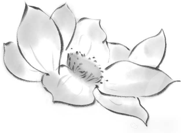 【起名课堂】起名标准