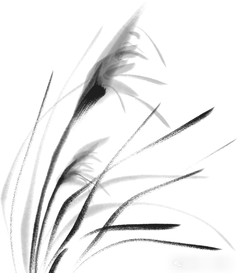 【起名课堂】起名标准